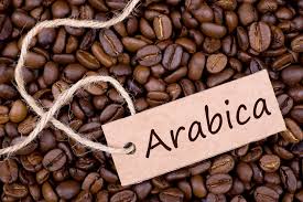 Café arábica se ajusta na Bolsa de Nova York e sobe cerca de 50 pts nesta manhã de 3ª feira