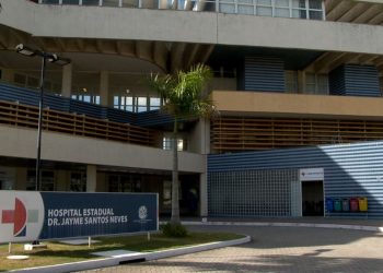 Baleada que fez cesárea de emergência e bebê precisam de doação de sangue, no ES