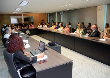 Vice-governadora realiza primeira reunião técnica para construção da Agenda Mulher
