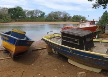 Anvisa atesta segurança do consumo do pescado do Rio Doce