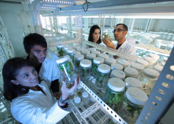 Investimento em tecnologia é alternativa para ganhar produtividade no agronegócio