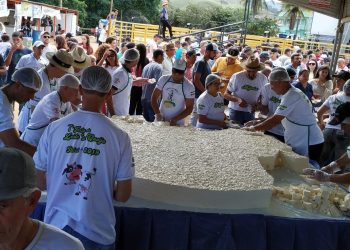 Queijo de 650 quilos é destaque de concurso leiteiro em Muniz Freire