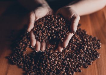Café: recursos do Funcafé para safra 2018/19 atingem recorde de R$ 3,5 bi