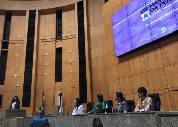 Audiência pública debate 13 anos da Lei Maria da Penha