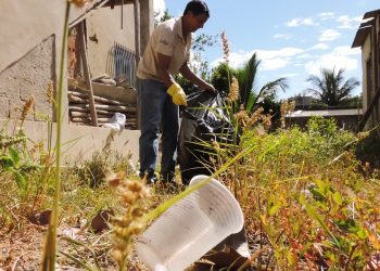 Linhares recebe mutirão contra a dengue no próximo sábado (17)