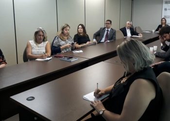 Secont apresenta Relatório de Inspeção realizada em OSS ao Conselho de Transparência