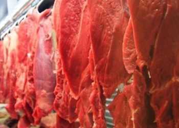 Por que a carne está tão cara? Alta do dólar interfere em produtos nacionais. Entenda!