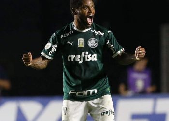 Palmeiras derrota Vasco e diminui vantagem para líder Flamengo