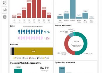 Observatório Digital da Socioeducação traz ranking de atos infracionais