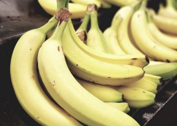 Chuva causa prejuízos de mais de R$ 88 mi na agropecuária do ES; preço da banana teve alta de 35%