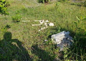 Sul do ES: Polícia recolhe ossada e peças íntimas femininas no litoral Itapemirim