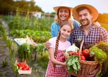 Sedu lança Chamada Pública da agricultura familiar