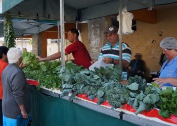 Agricultores buscam meios de comercializar seus produtos durante a pandemia de Covid-19