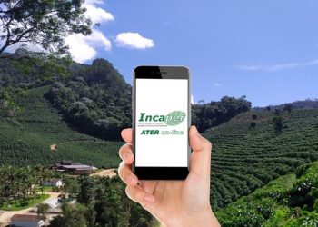 Técnicos do Incaper buscam alternativas para manter o produtor informado