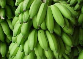 Dietas com restrição podem contar com produtos da agricultura familiar