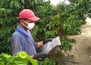 Cartilhas orientativas sobre cuidados com o Coronavírus são distribuídas aos produtores rurais