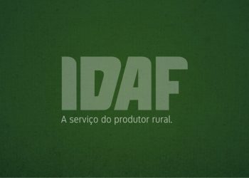 Idaf divulga classificação dos candidatos no processo seletivo para contratação de médicos-veterinários
