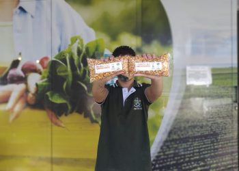 Sementes do milho ES-204 Imperador são distribuídas aos produtores da Ceasa