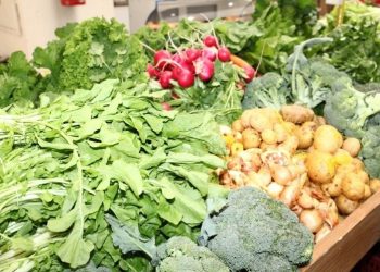 Pesquisa avalia impactos da pandemia na comercialização de alimentos saudáveis
