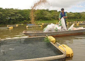 Incaper debate formas de ajudar aquicultores e pescadores a enfrentar a crise