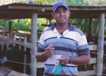Dia do Agricultor: conheça mais sobre a atividade que move o Espírito Santo