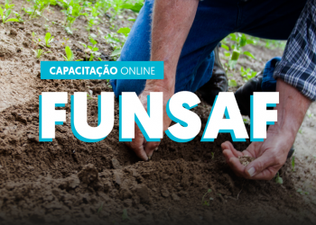 Funsaf: Seag disponibiliza capacitação on-line