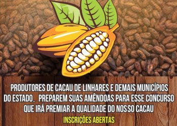 Últimos dias para inscrição no Concurso de Qualidade das Amêndoas do Cacau Capixaba