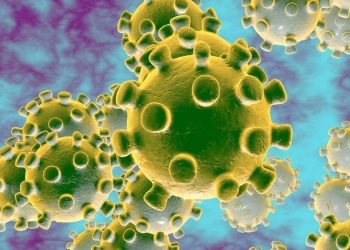 Primeiro caso de reinfecção pelo coronavírus é confirmado