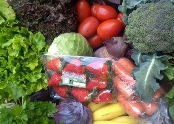 Entrega de cestas de produtos orgânicos e agroecológicos cresce 136% na pandemia