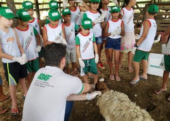 Idaf tem trabalho aprovado em Encontro Capixaba de Pesquisa em Educação Ambiental
