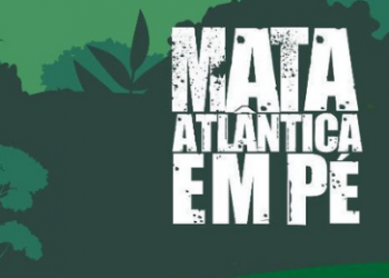 Iema e Idaf participam da 4ª edição da operação nacional Mata Atlântica em Pé