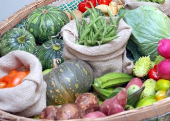 Seminário AlimentarES marca semana do Dia Mundial da Alimentação