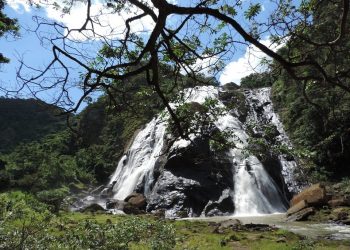 Confira os parques estaduais que estarão abertos neste fim de semana