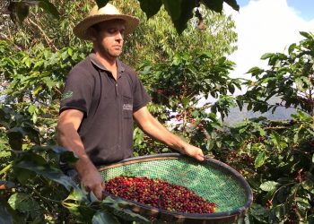 Feira Sabores da Terra oferece produtos a partir de R$ 8,00