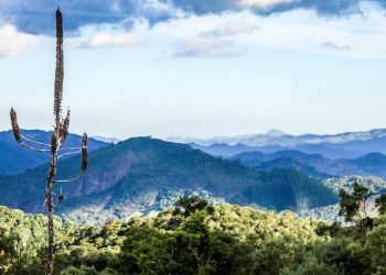 Confira o funcionamento dos parques estaduais neste final de semana