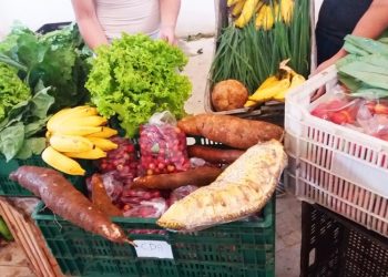Programa Compra Direta de Alimentos (CDA) é finalista do Prêmio Inoves