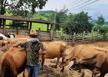 Plano para melhora e sustentabilidade da pecuária de leite é desenvolvido no Estado