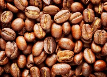 Produção de café arábica no Espírito Santo cresce 49,1% em 2020, aponta IBGE