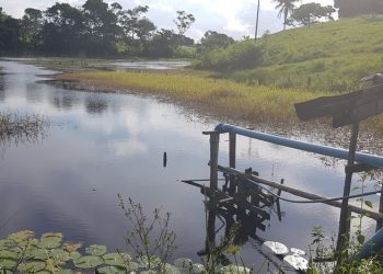 Agerh seleciona bolsistas para projeto de incentivo ao uso racional da água na agricultura