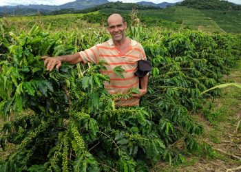 Incaper desenvolve ações para a qualidade do café na região do Caparaó há 30 anos