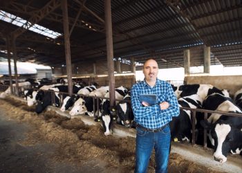 Agroindústria ligada à pecuária leiteira recebe investimento de banco capixaba
