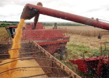 Saiba o que influencia no preço das commodities e como isso afeta o seu bolso