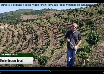 Atendimento on-line ao agricultor ganha força entre extensionistas do Incaper