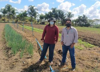 Projeto promove comercialização entre agricultura familiar e supermercados em Pedro Canário