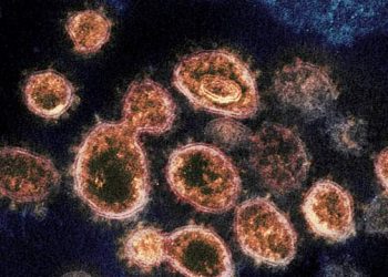Paciente recebe alta 9 meses após ter sido internado com covid-19 em Joinville