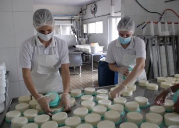 Seag e Sebrae abrem inscrições para consultorias gratuitas para agroindústrias