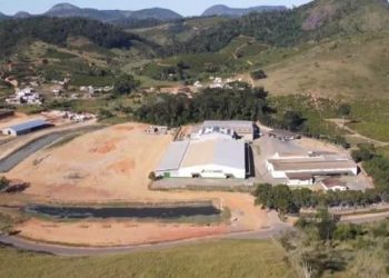 Café conilon de São Gabriel da Palha atinge pontuação recorde após parceria com Ifes
