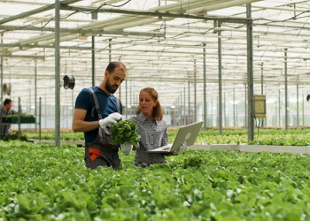 Negócios agroalimentares capixabas contam com apoio do Bandes