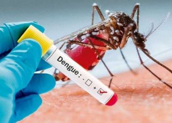 Conheça medidas para o combate ao mosquito transmissor de arboviroses