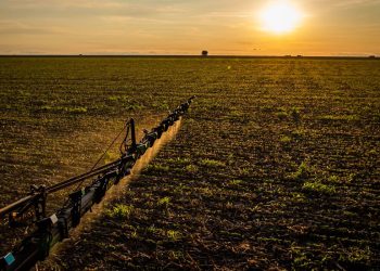 IBGE: 32% dos solos do país têm potencial natural para a agricultura